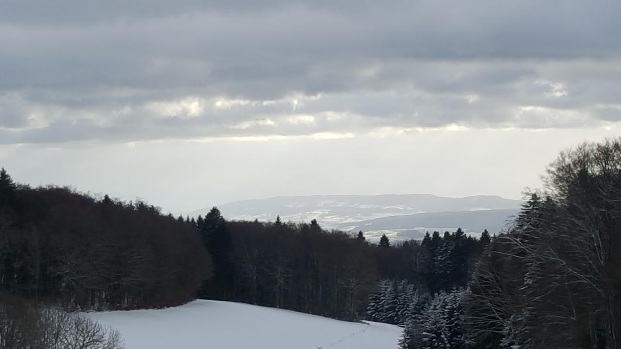 Готель Gasthof Zum Hirschen Strittmatt Екстер'єр фото